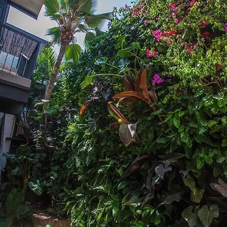 Casa Siete Infantes Apartamento Cartagena